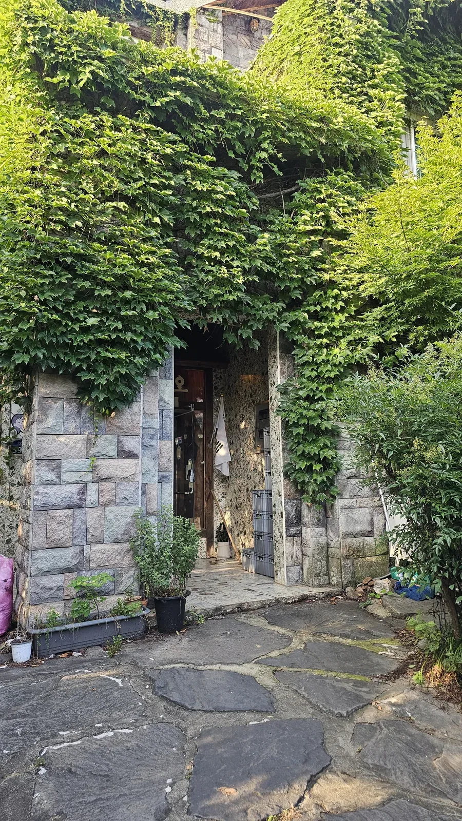 Haeoeum restaurant exterior in Cheongyang covered in dense ivy vines with stone steps leading to entrance