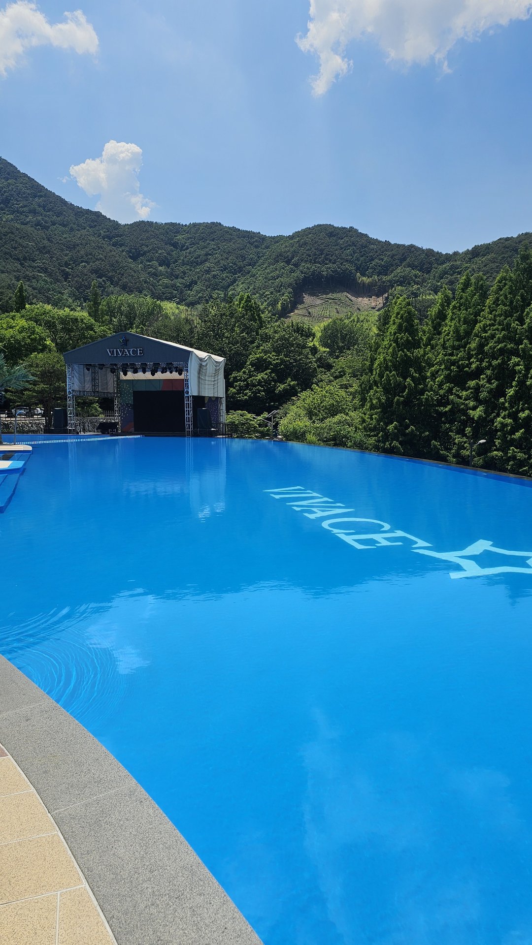 Vivace Resort infinity pool with VIVACE logo sculpture, palm trees and green mountain backdrop